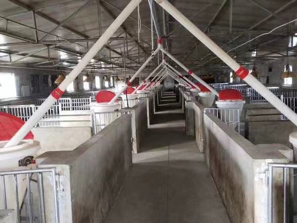 全自動牛羊飼喂機的清糞機是如何使用的