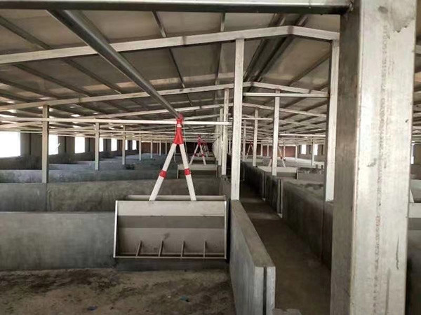 全自動喂料機的用途有哪些