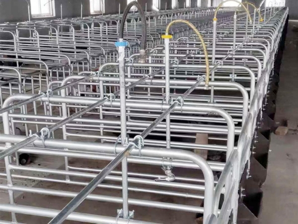 全自動喂料機使用了之后有哪些好處